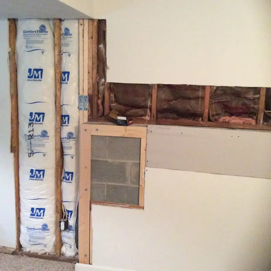 Wall insulation replacement during Odor Removal & Deodorization in Dublin